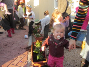 babies planting